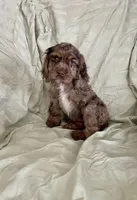 processed/2f944281-8ce3-403e-b92b-a48714574edb/listing/a17bff52-68d0-4fdf-b4d6-cb634b4d493a/374847ab-ebaa-4b2e-930c-b3b4daa7b4a9