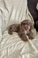 processed/2f944281-8ce3-403e-b92b-a48714574edb/listing/a17bff52-68d0-4fdf-b4d6-cb634b4d493a/62b83b6d-10f3-41d5-a6dc-8627998d996c