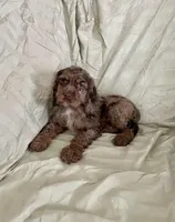 processed/2f944281-8ce3-403e-b92b-a48714574edb/listing/a17bff52-68d0-4fdf-b4d6-cb634b4d493a/b7681b3d-8063-494b-8915-06c72622c85d