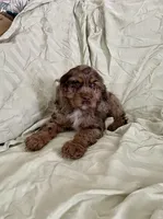 processed/2f944281-8ce3-403e-b92b-a48714574edb/listing/a17bff52-68d0-4fdf-b4d6-cb634b4d493a/fd8ae871-8d78-4606-aa4a-e3dade11d3e7