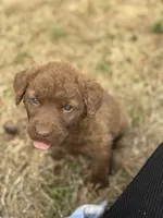 processed/2fa5230c-ca84-46b0-9099-176dceaa3f4b/listing/54225850-c94e-46e6-9176-eebc47293d71/cb9dcede-a338-48e1-924b-cc477f0b236d