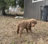 processed/2fa5230c-ca84-46b0-9099-176dceaa3f4b/listing/54225850-c94e-46e6-9176-eebc47293d71/d03b4456-346d-4a66-8432-09108e653c75