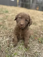 processed/2fa5230c-ca84-46b0-9099-176dceaa3f4b/listing/54225850-c94e-46e6-9176-eebc47293d71/d719e086-91da-46a8-8db0-9719b0593b06