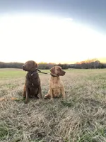 processed/2fa5230c-ca84-46b0-9099-176dceaa3f4b/listing/54225850-c94e-46e6-9176-eebc47293d71/dc2826d3-e2a2-4f06-bb59-dbd2ef6ec007