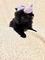 processed/2fa6bfa0-c3c3-4ee2-be87-7b06b84c17a6/listing/0856a160-c335-4818-ad88-26798afa5f0b/39cd69a2-e340-4b33-85d2-eec33a0acc22