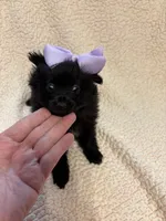 processed/2fa6bfa0-c3c3-4ee2-be87-7b06b84c17a6/listing/0856a160-c335-4818-ad88-26798afa5f0b/be4911ff-3b86-405f-8b61-28bc0c0ec015