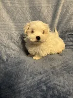 processed/2fa6bfa0-c3c3-4ee2-be87-7b06b84c17a6/listing/be1af374-ed29-4181-9a9e-497bf83ba66c/300f1285-32e3-4f27-965a-d4aee56ba75c