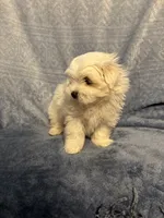 processed/2fa6bfa0-c3c3-4ee2-be87-7b06b84c17a6/listing/be1af374-ed29-4181-9a9e-497bf83ba66c/39e6a63a-33f5-4976-82f9-282f953758fe