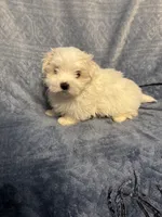 processed/2fa6bfa0-c3c3-4ee2-be87-7b06b84c17a6/listing/be1af374-ed29-4181-9a9e-497bf83ba66c/99c87ace-a7dd-426a-aff0-6219b2c95661