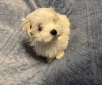 processed/2fa6bfa0-c3c3-4ee2-be87-7b06b84c17a6/listing/be1af374-ed29-4181-9a9e-497bf83ba66c/bda835d0-96d1-4f97-b072-27ccf0abf46c