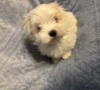 processed/2fa6bfa0-c3c3-4ee2-be87-7b06b84c17a6/listing/be1af374-ed29-4181-9a9e-497bf83ba66c/ff43b1e6-b940-4385-b681-8353a7523097