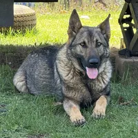 processed/2fabb89d-587f-437a-b36f-1412ab04b959/facility/0e3c4ff2-e752-4304-b38c-345d118cf4b1