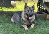 processed/2fabb89d-587f-437a-b36f-1412ab04b959/facility/0e3c4ff2-e752-4304-b38c-345d118cf4b1