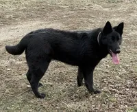 processed/2fabb89d-587f-437a-b36f-1412ab04b959/facility/27527fb7-b2dc-4845-bf48-eb5fad1c1883