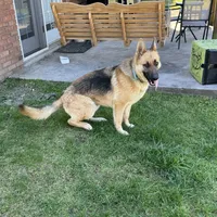 processed/2fabb89d-587f-437a-b36f-1412ab04b959/facility/a318861e-e872-4397-80eb-7f8d8a72ba90