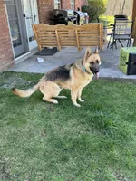 processed/2fabb89d-587f-437a-b36f-1412ab04b959/facility/a318861e-e872-4397-80eb-7f8d8a72ba90