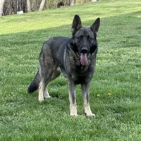 processed/2fabb89d-587f-437a-b36f-1412ab04b959/facility/b1076032-b16f-417c-857b-fb285f9a93cf