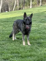 processed/2fabb89d-587f-437a-b36f-1412ab04b959/facility/b1076032-b16f-417c-857b-fb285f9a93cf