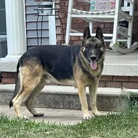 processed/2fabb89d-587f-437a-b36f-1412ab04b959/facility/c653ede0-1642-4935-95cc-c59ab77487af