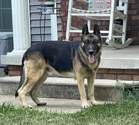 processed/2fabb89d-587f-437a-b36f-1412ab04b959/facility/c653ede0-1642-4935-95cc-c59ab77487af