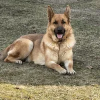 processed/2fabb89d-587f-437a-b36f-1412ab04b959/facility/f797bd5a-d1be-45ab-b2dc-a1ac6405a0e4