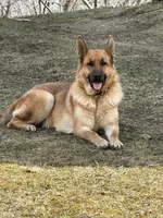 processed/2fabb89d-587f-437a-b36f-1412ab04b959/facility/f797bd5a-d1be-45ab-b2dc-a1ac6405a0e4