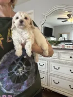 processed/2fb2475a-e406-42e7-a310-43c2b8534e18/listing/a680d360-4be1-47d2-94cd-434f7c62feb6/12a937fa-f7db-45fa-b72f-9b414bc21484