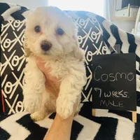 processed/2fb2475a-e406-42e7-a310-43c2b8534e18/listing/a680d360-4be1-47d2-94cd-434f7c62feb6/1855a338-cfb6-49a4-a710-7dee7a2c6e80