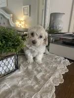 processed/2fb2475a-e406-42e7-a310-43c2b8534e18/listing/a680d360-4be1-47d2-94cd-434f7c62feb6/5c09c14f-de44-4277-98ab-587e04702654