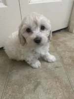 processed/2fb2475a-e406-42e7-a310-43c2b8534e18/listing/a680d360-4be1-47d2-94cd-434f7c62feb6/e1bb4a72-7299-4f50-8bbb-1e513b387421