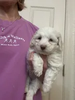 processed/2fb2475a-e406-42e7-a310-43c2b8534e18/listing/bbb54dc3-d88d-45b2-8ade-eaf60407f975/1044755e-9c51-44cb-8956-0f1ae7a4001f