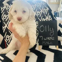 processed/2fb2475a-e406-42e7-a310-43c2b8534e18/listing/bbb54dc3-d88d-45b2-8ade-eaf60407f975/20730b9a-74cd-4d7c-a0d7-3fd04bdfd53f