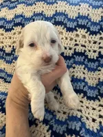 processed/2fb2475a-e406-42e7-a310-43c2b8534e18/listing/bbb54dc3-d88d-45b2-8ade-eaf60407f975/29b6a812-5908-42cf-ae68-ccd00fec84a9