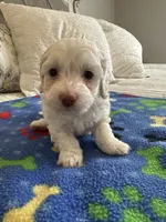 processed/2fb2475a-e406-42e7-a310-43c2b8534e18/listing/bbb54dc3-d88d-45b2-8ade-eaf60407f975/487e8031-0b8e-4a25-8f03-d5703010933b