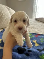 processed/2fb2475a-e406-42e7-a310-43c2b8534e18/listing/bbb54dc3-d88d-45b2-8ade-eaf60407f975/53076916-9ee4-4890-9666-d740bef792f5