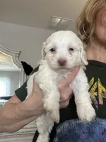 processed/2fb2475a-e406-42e7-a310-43c2b8534e18/listing/bbb54dc3-d88d-45b2-8ade-eaf60407f975/e95cc296-c6e3-48ed-83cb-c59bfa63d646