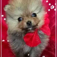 processed/2fb8f632-a30a-4766-9565-bd604c0e7eba/facility/197a4b53-236c-4d0b-8362-a2d4a535df62