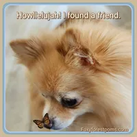 processed/2fb8f632-a30a-4766-9565-bd604c0e7eba/facility/2d8ecebf-d961-4831-8523-88cf02c42baf