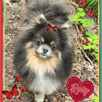 processed/2fb8f632-a30a-4766-9565-bd604c0e7eba/facility/4accdac7-4fe7-4dbf-a205-b7c483711bd4