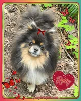 processed/2fb8f632-a30a-4766-9565-bd604c0e7eba/facility/4accdac7-4fe7-4dbf-a205-b7c483711bd4