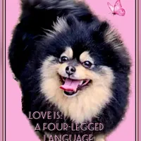 processed/2fb8f632-a30a-4766-9565-bd604c0e7eba/facility/67dd74d9-d861-424e-9a22-03879840ec29