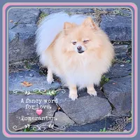 processed/2fb8f632-a30a-4766-9565-bd604c0e7eba/facility/67f6cd95-eda5-4e40-ab76-cca9d289bfb1