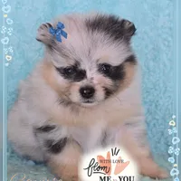 processed/2fb8f632-a30a-4766-9565-bd604c0e7eba/facility/90546fcd-5aee-45a7-838a-5a753d34551e