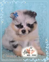 processed/2fb8f632-a30a-4766-9565-bd604c0e7eba/facility/90546fcd-5aee-45a7-838a-5a753d34551e