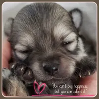 processed/2fb8f632-a30a-4766-9565-bd604c0e7eba/facility/f01bcbb7-e22d-43d2-8afc-f8f7fc21af22