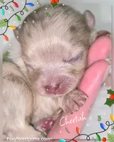 processed/2fb8f632-a30a-4766-9565-bd604c0e7eba/listing/410315b1-4b77-44c3-a7c3-7aa7dd816e0d/28d928df-b962-48e7-9018-e7eb2900ae76