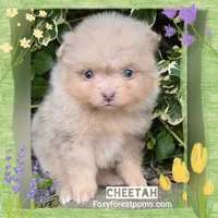 processed/2fb8f632-a30a-4766-9565-bd604c0e7eba/listing/410315b1-4b77-44c3-a7c3-7aa7dd816e0d/9ac35d14-a0cc-482b-b416-11d8fc0c08ad