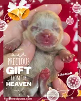 processed/2fb8f632-a30a-4766-9565-bd604c0e7eba/listing/410315b1-4b77-44c3-a7c3-7aa7dd816e0d/b004d496-4355-4666-99e0-d277301b6378