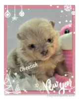 processed/2fb8f632-a30a-4766-9565-bd604c0e7eba/listing/410315b1-4b77-44c3-a7c3-7aa7dd816e0d/db19e262-3285-451c-bf47-db0f5c56f110