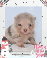 processed/2fb8f632-a30a-4766-9565-bd604c0e7eba/listing/410315b1-4b77-44c3-a7c3-7aa7dd816e0d/eed9d8cf-4555-4fdf-85c3-6da1c6a37077